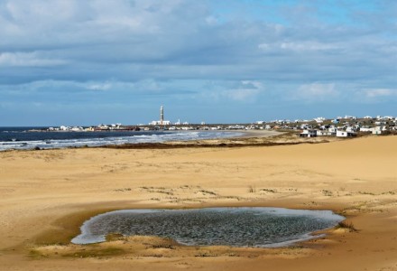 Issue 71 đź’«